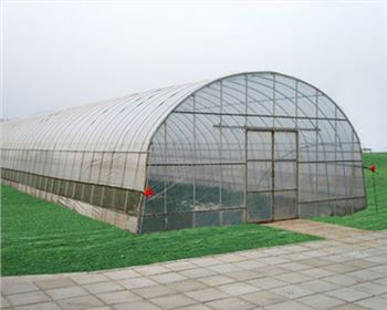 甘肅蔬菜溫室大棚