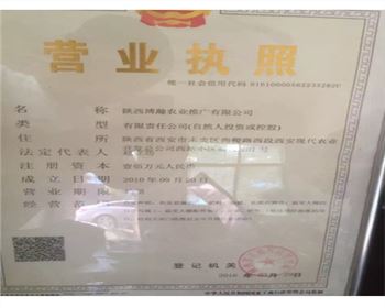 陜西博瀚公司的營(yíng)業(yè)執(zhí)照